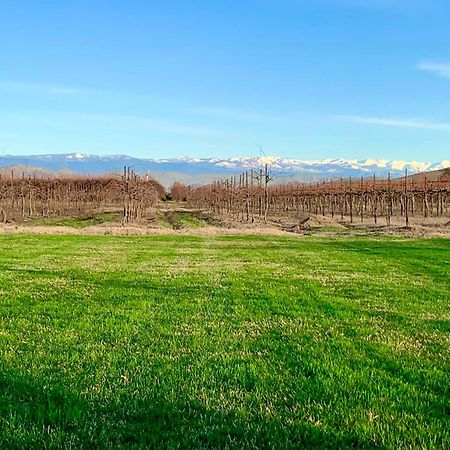 Sequoia View Vineyard Bed & Breakfast Sanger Екстериор снимка