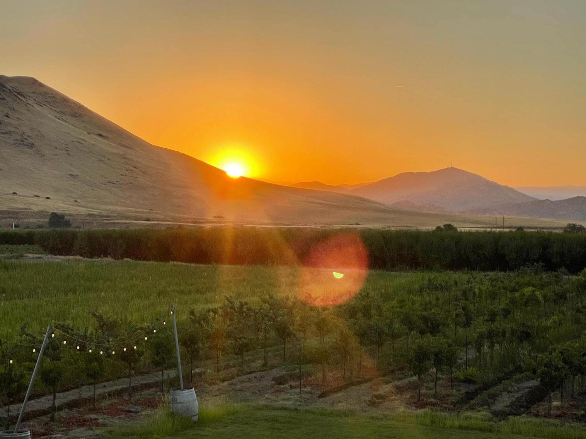 Sequoia View Vineyard Bed & Breakfast Sanger Екстериор снимка