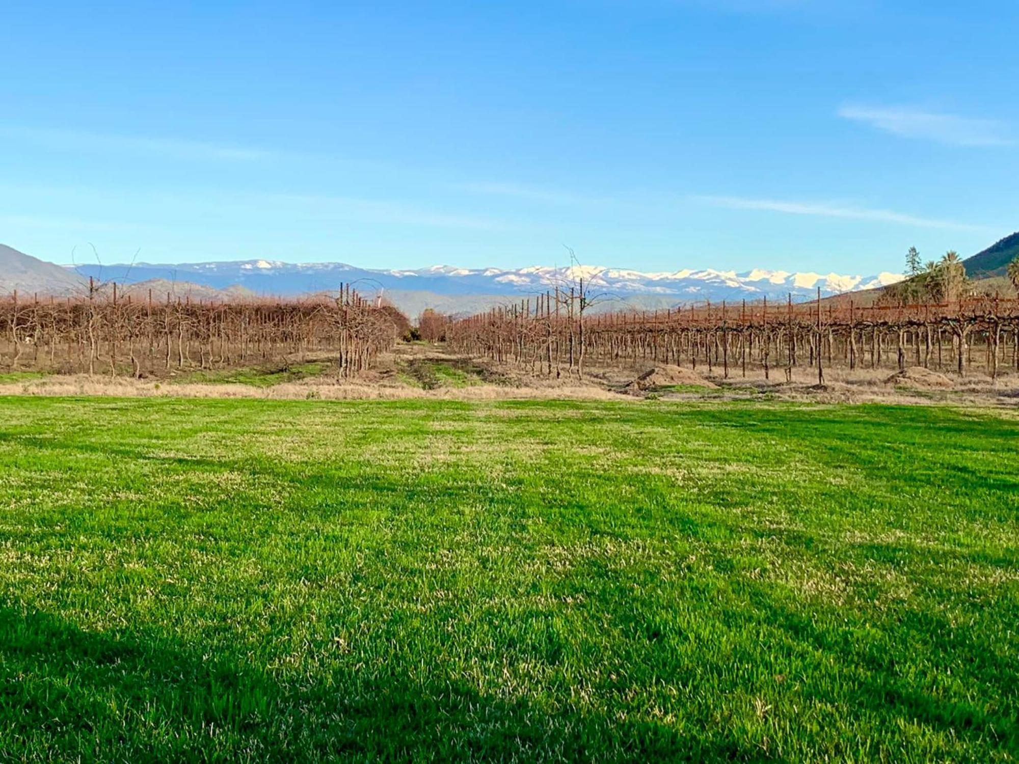 Sequoia View Vineyard Bed & Breakfast Sanger Екстериор снимка
